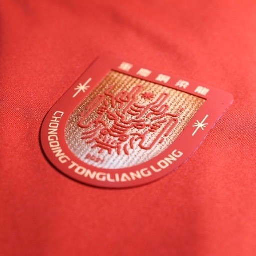 重庆铜梁龙全国招募2015-2017年龄段足球少年
